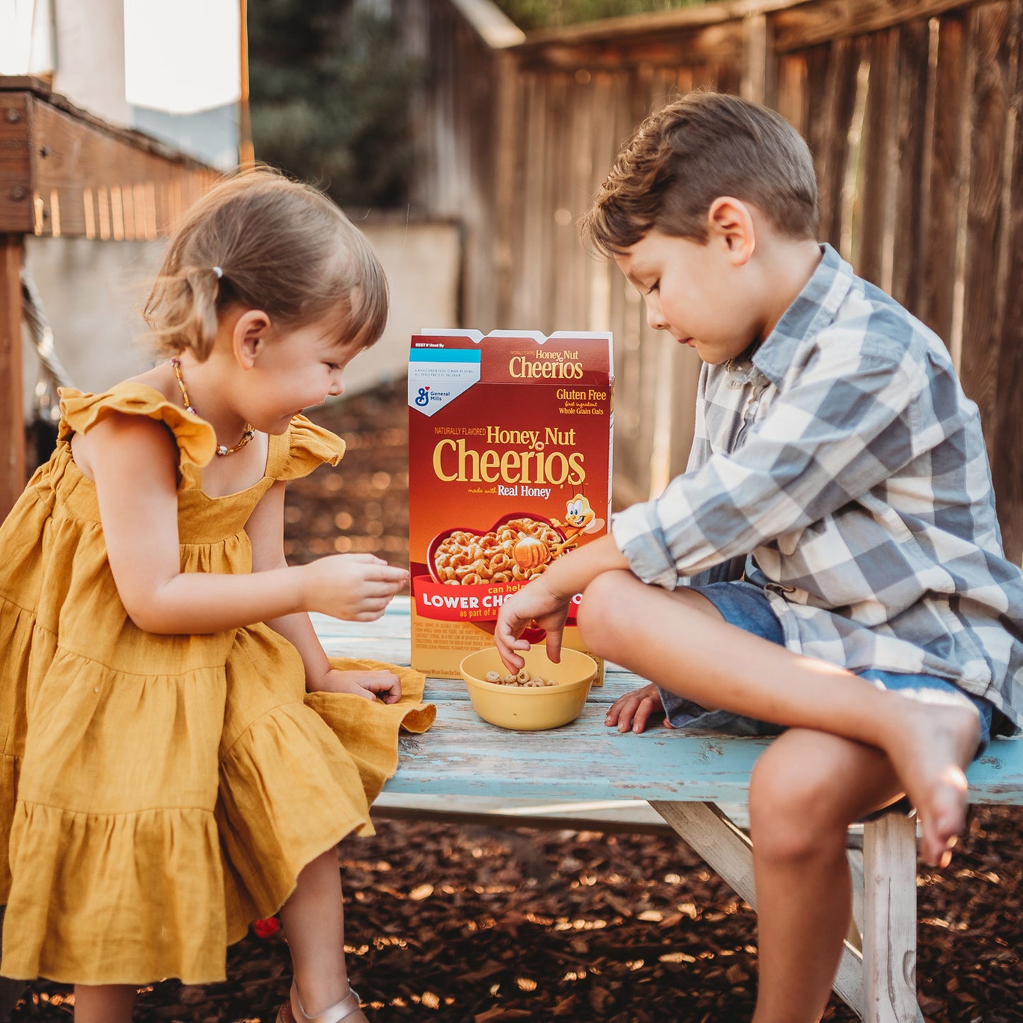 General Mills Honey Nut Cheerios 2/27.5 oz