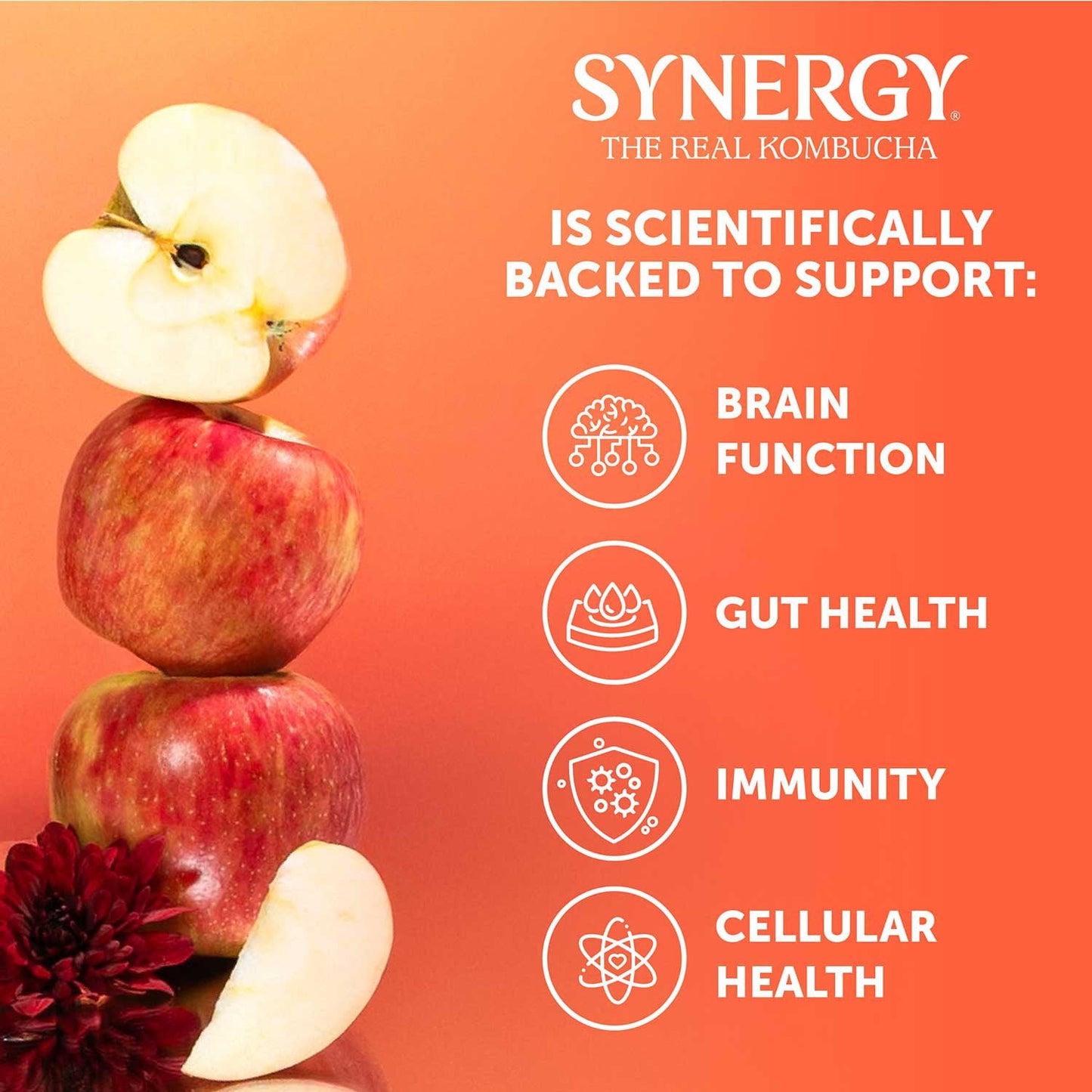 SYNERGY The Real Kombucha, Honeycrisp Apple, 16 fl. oz., 6 pk.