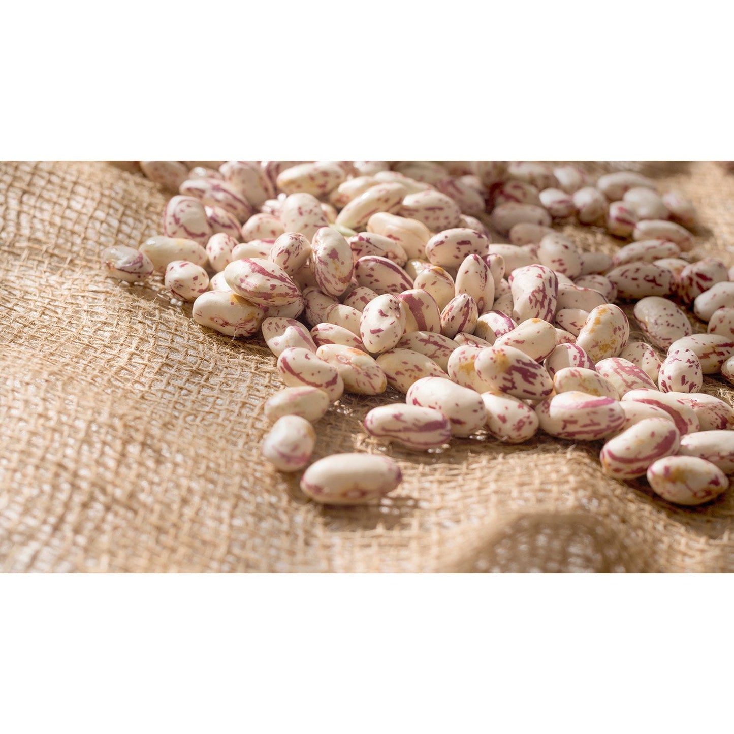 Member's Mark Pinto Beans, 12 lbs.