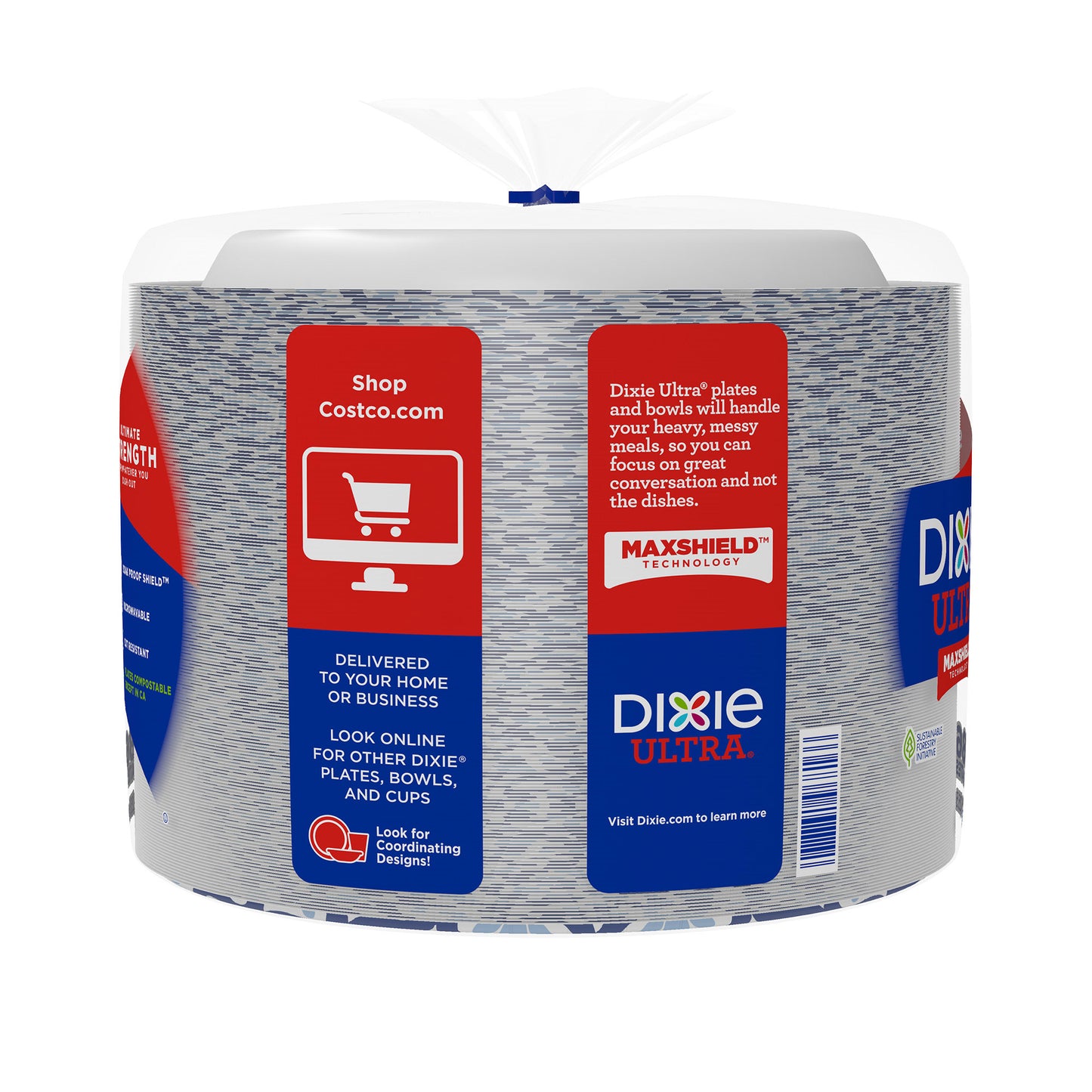 DIXIE ULTRA 10 1/16" PLATE 186 CT