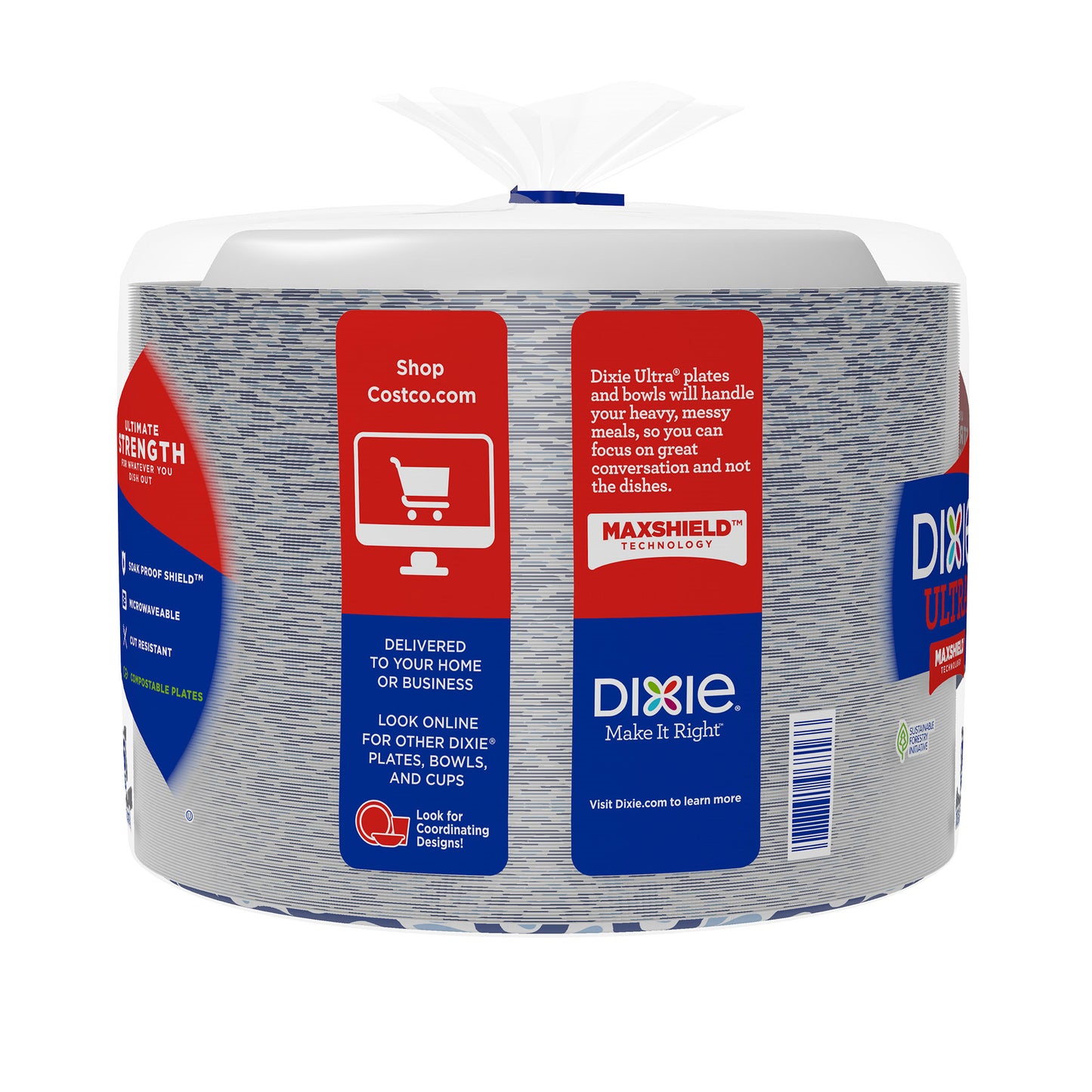 DIXIE ULTRA 10 1/16" PLATE 186 CT