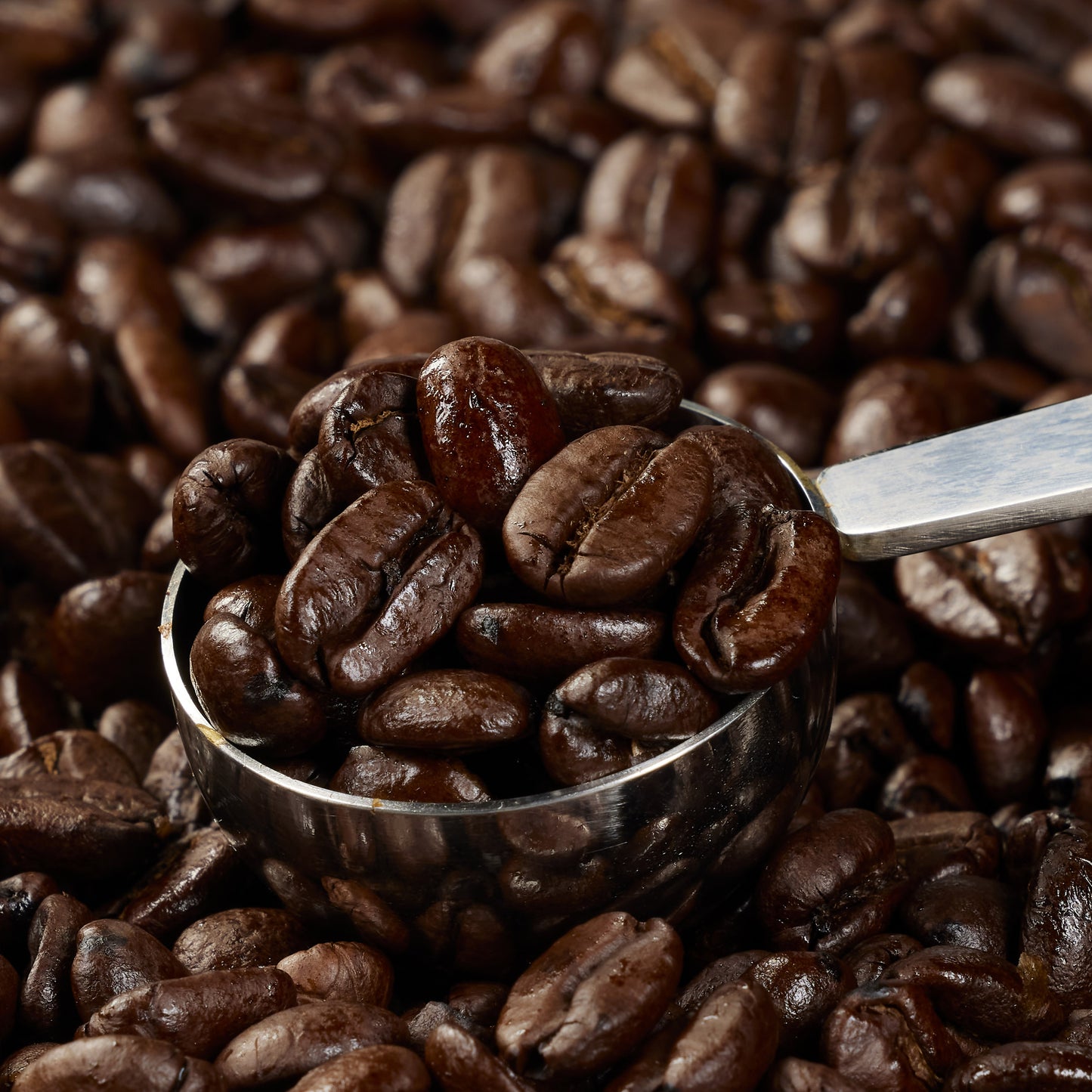 KIRKLAND SIGNATURE 100% COLOMBIAN SUPREMO 3 LB