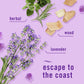 Febreze Plug Air Freshener, Mediterranean Lavender + Linen & Sky, 5 refills, 4.35 fl. oz.