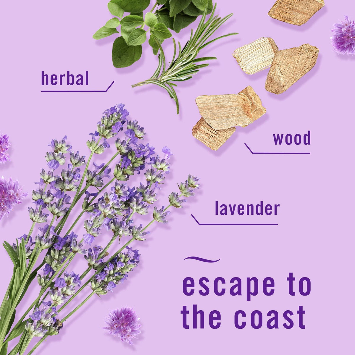 Febreze Plug Air Freshener, Mediterranean Lavender + Linen & Sky, 5 refills, 4.35 fl. oz.