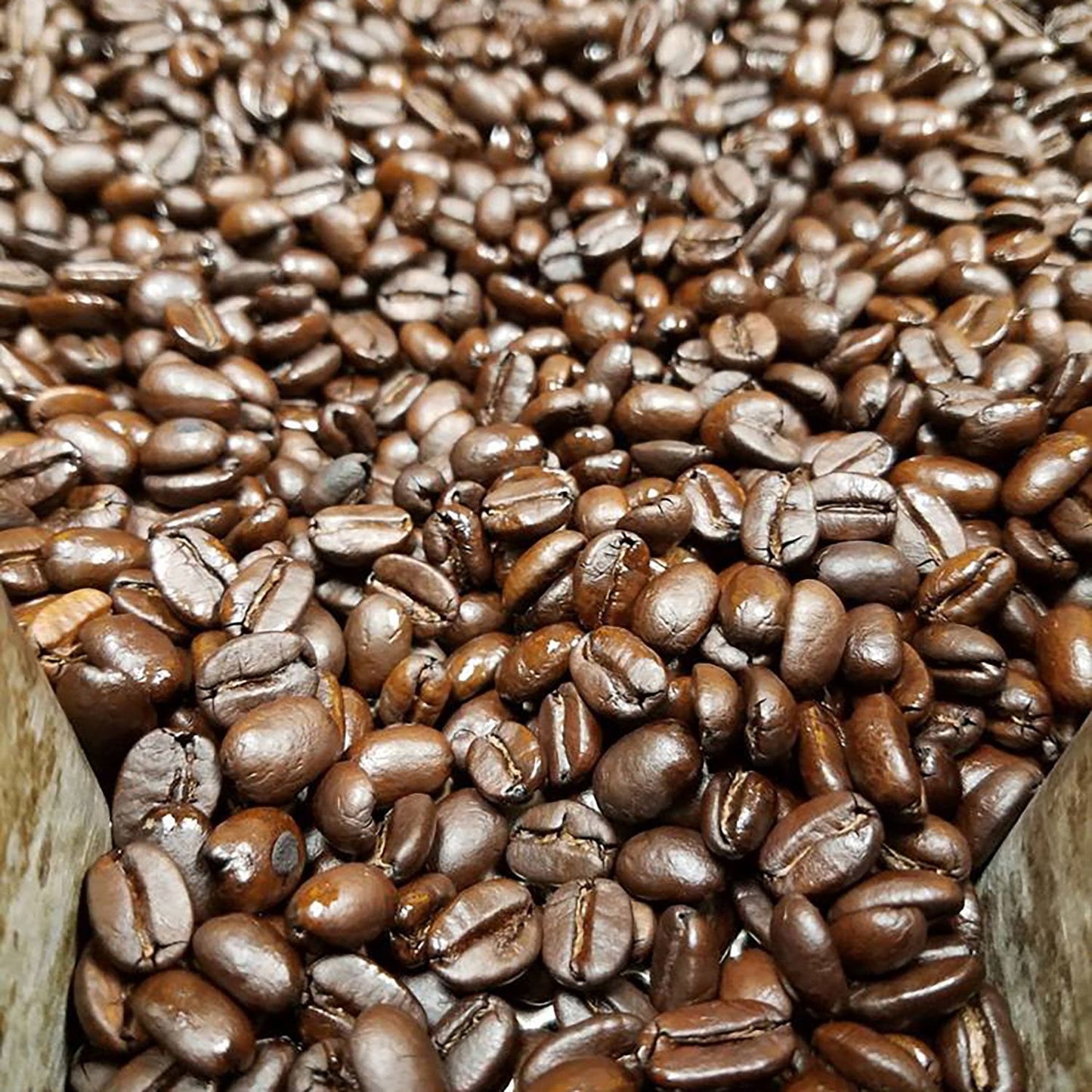 Cameron's Organic Light Roast Whole Bean Coffee, Woods & Water 64 oz.