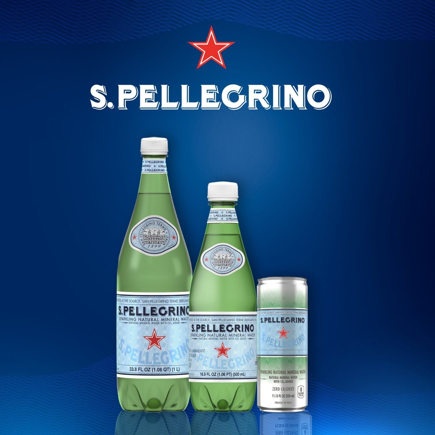 S.Pellegrino Sparkling Natural Mineral Water 16.9 fl. oz., 24 pk.
