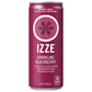 SAVE IZZE SPARKLING JUICE DRINK 24/8.4 OZ