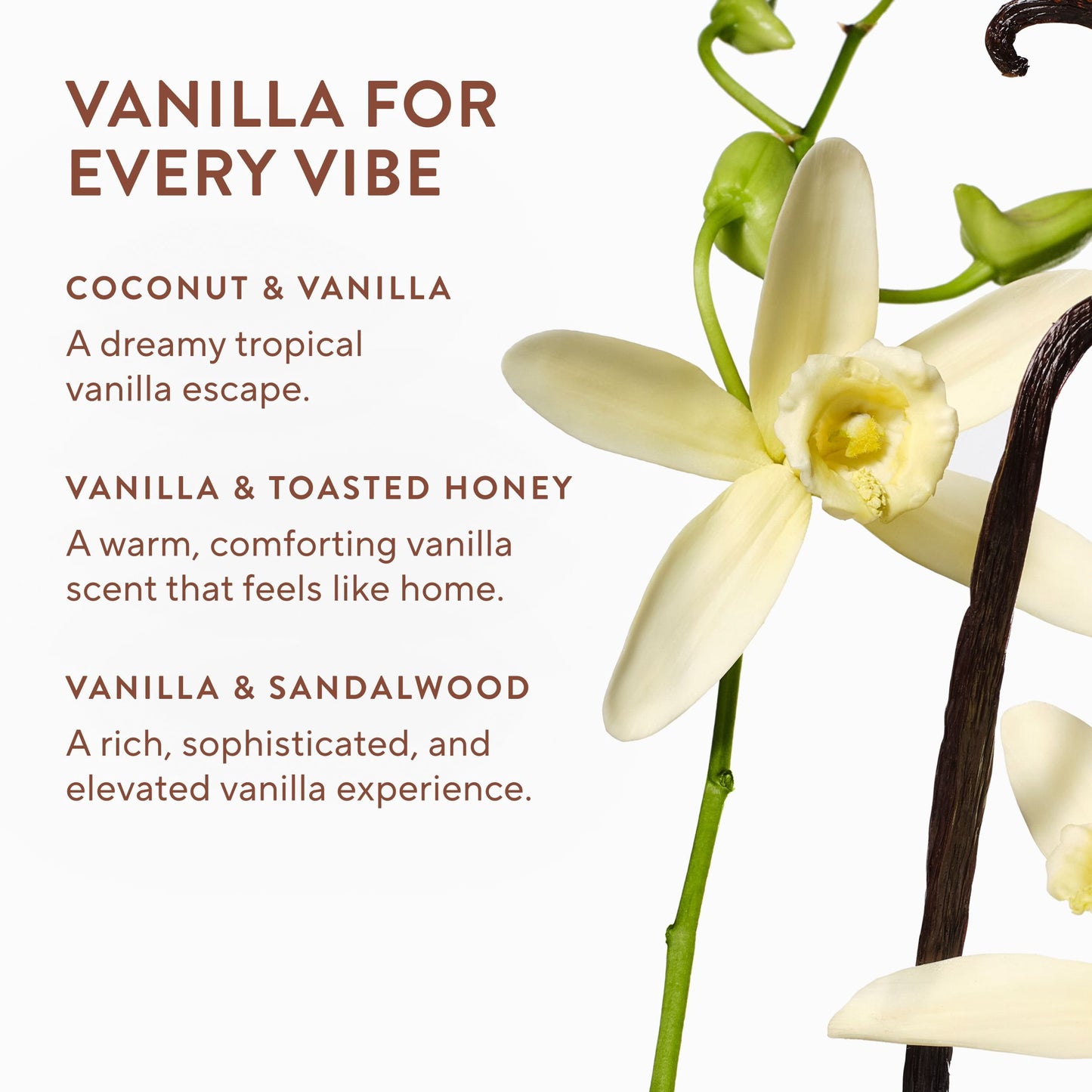 Native Aluminum-Free Deodorant, Vanilla Variety Pack, 2.65 oz., 3 pk.