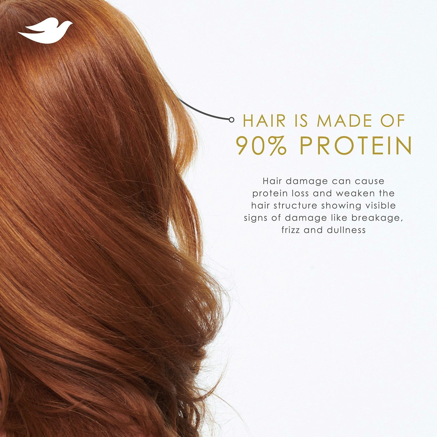 Dove Nourish & Restore 5-in-1 Shampoo, 33.8 fl. oz.