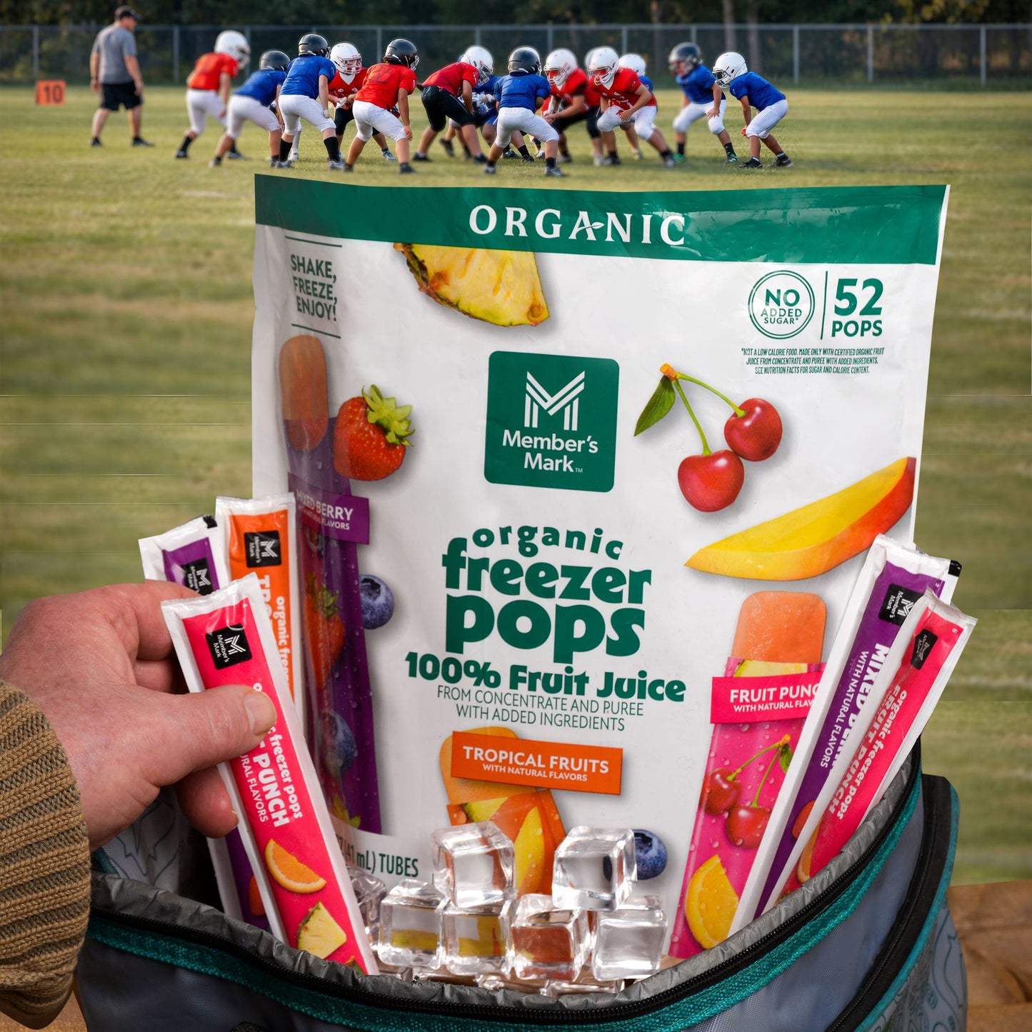 Member's Mark Organic Freezer Pops, 52 ct.
