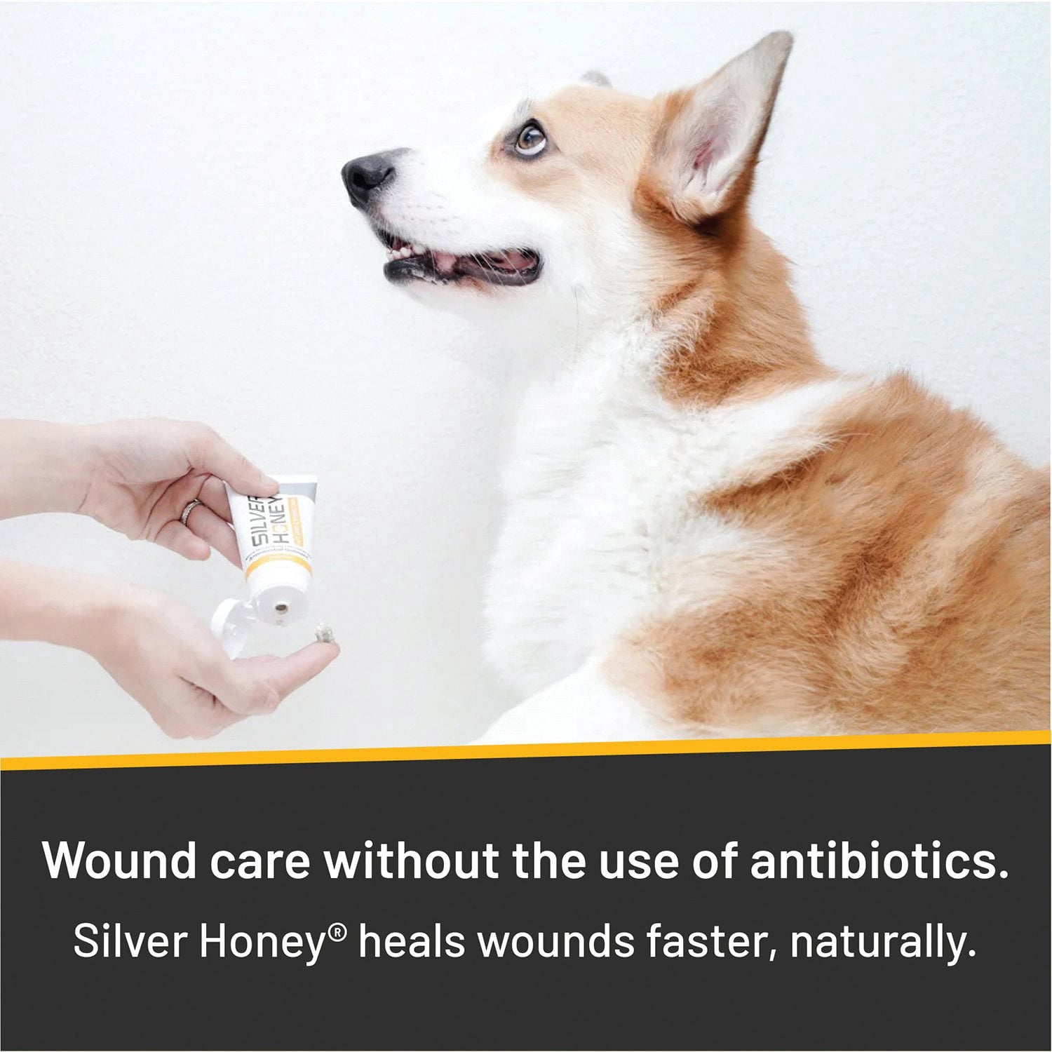 SILVER HONEY HOT SPOT & WOUND CARE OINTMENT 2OZ