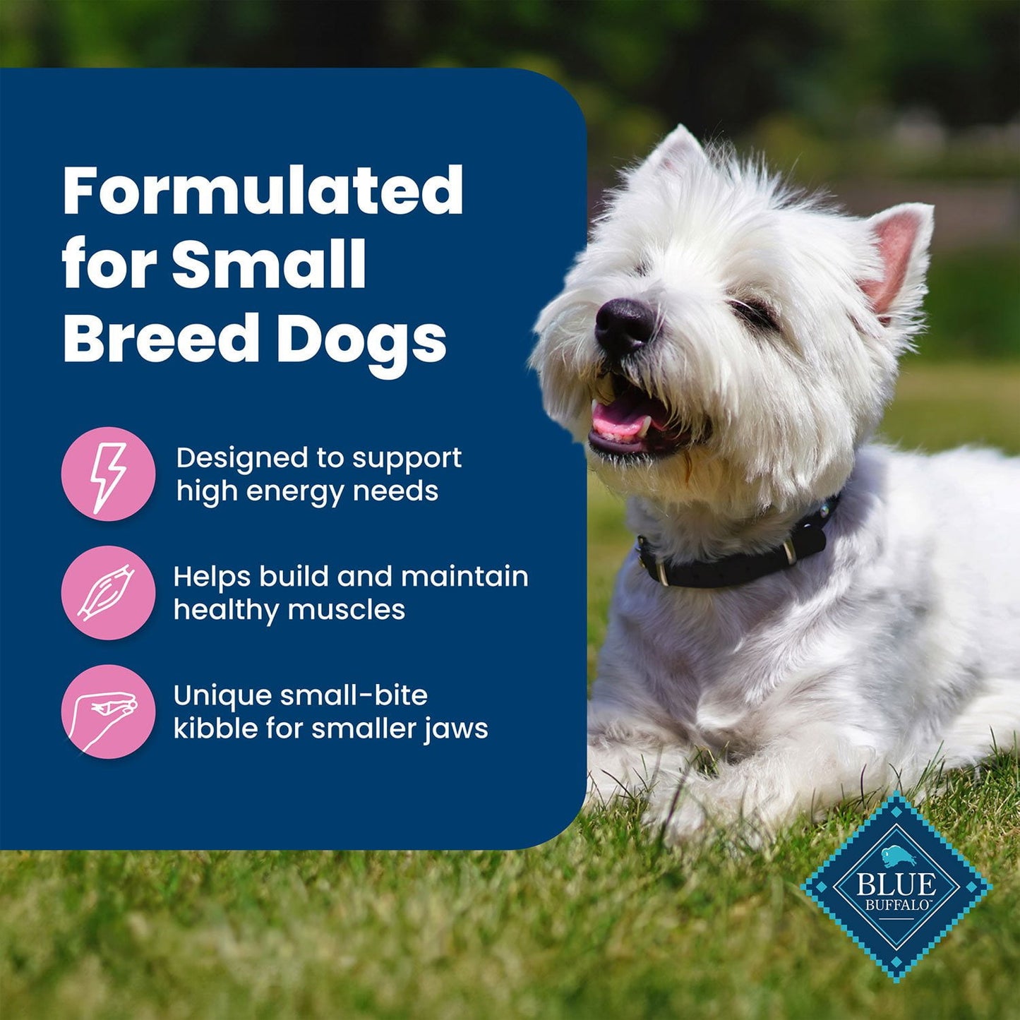 Blue Buffalo Life Protection Formula Chicken & Brown Rice, Adult Small Breed Dry Dog Food, 26 lbs.