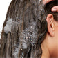 PANTENE ESSENTIAL BOTANICALS ROSE + HONEY SHAMPOO