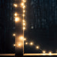 CASCADE MOUNTAIN TECH 2-PACK RECHARGEABLE CAMPING STRING LIGHT