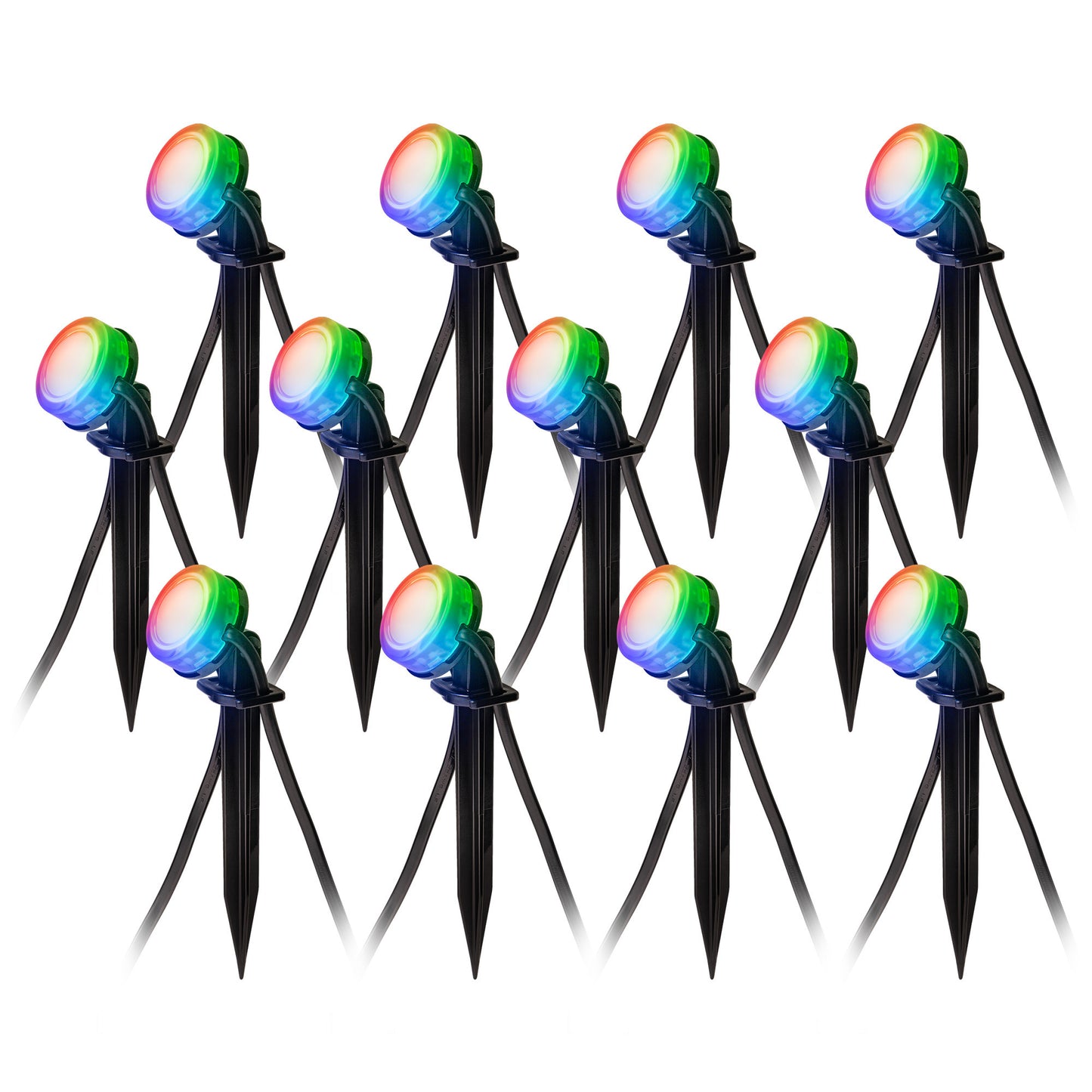 ENBRIGHTEN GLOBE STRING LIGHTS