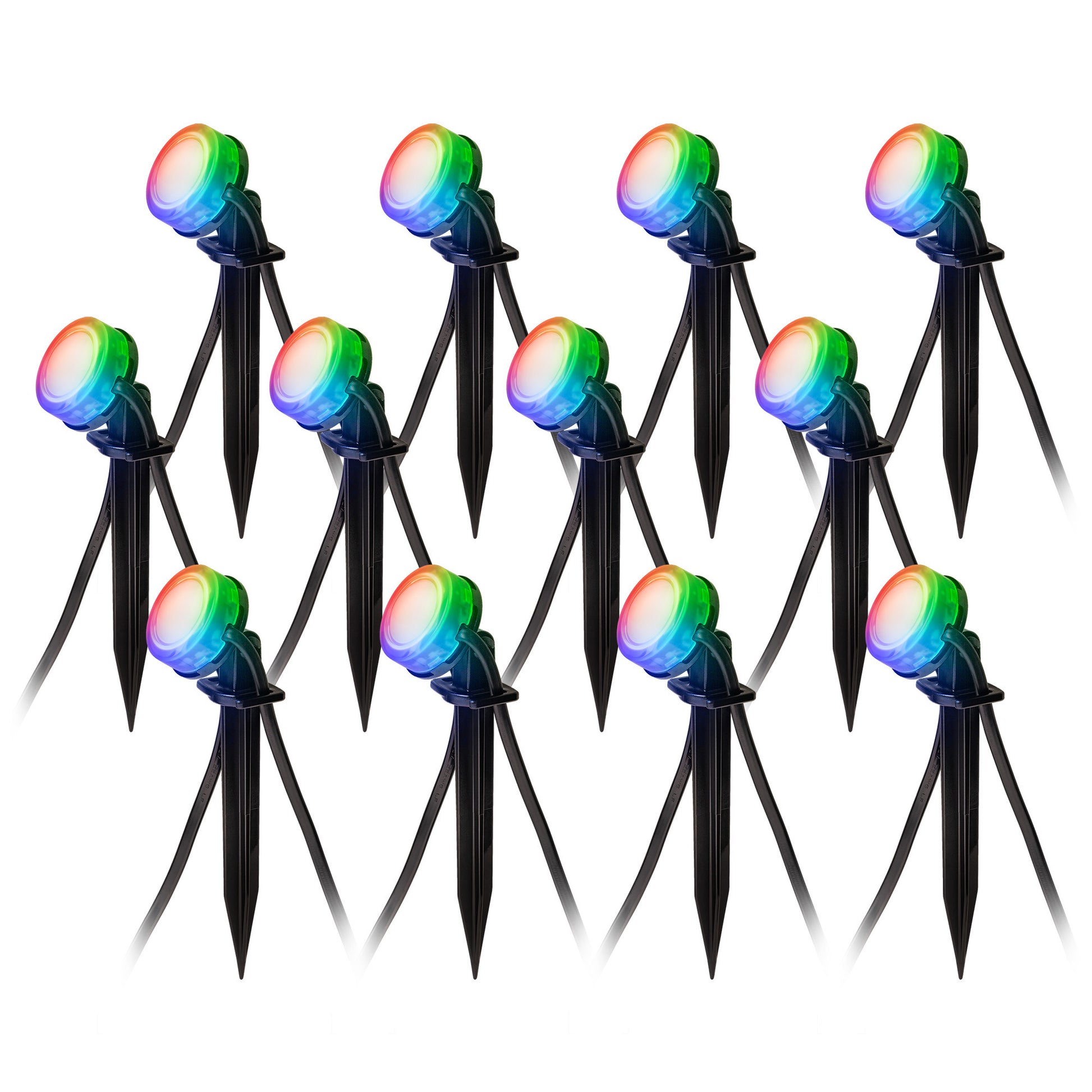 ENBRIGHTEN GLOBE STRING LIGHTS