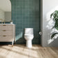 BRONDELL LOOEWCLOTAEI BIDET TOILET SEAT