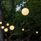 ENBRIGHTEN GLOBE STRING LIGHTS