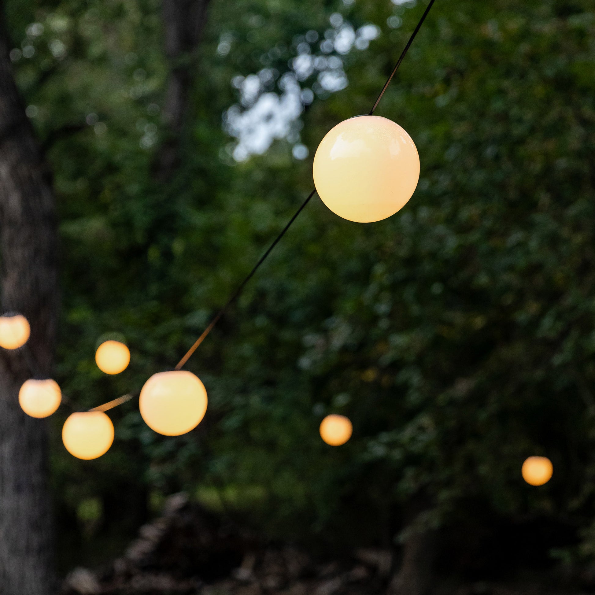 ENBRIGHTEN GLOBE STRING LIGHTS