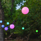 ENBRIGHTEN GLOBE STRING LIGHTS