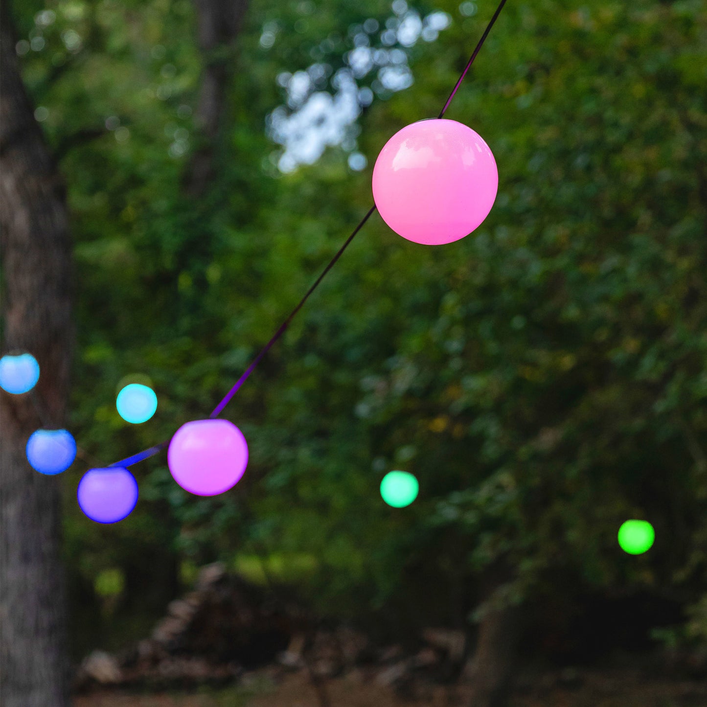 ENBRIGHTEN GLOBE STRING LIGHTS