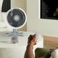 SHARK FLEXBREEZE CORDLESS FAN WITH MISTING ATTACHMENT