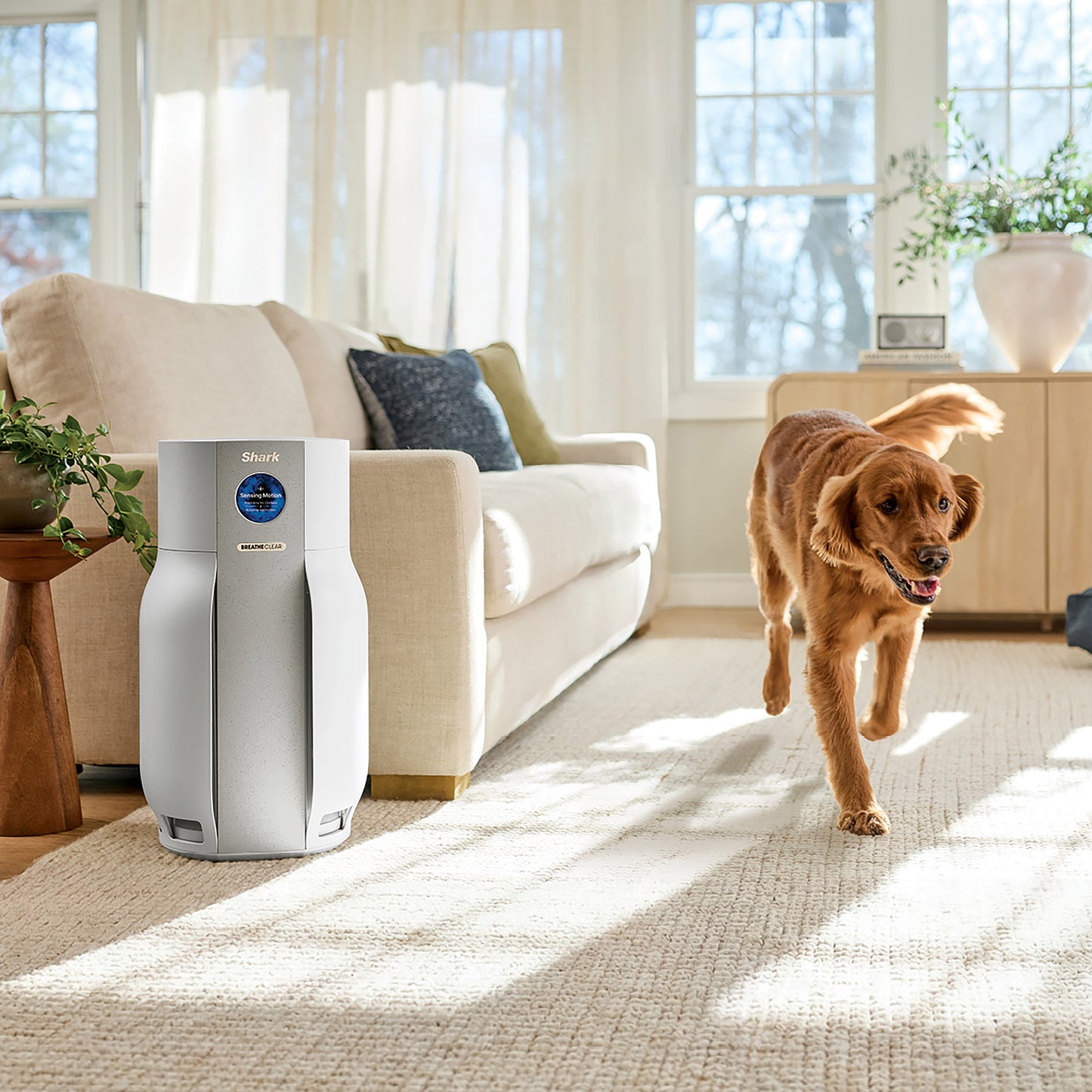 SHARK BREATHECLEAR AIR PURIFIER