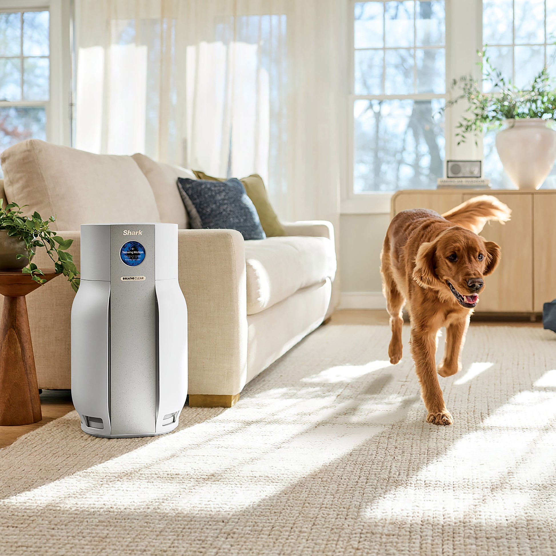 SHARK BREATHECLEAR AIR PURIFIER