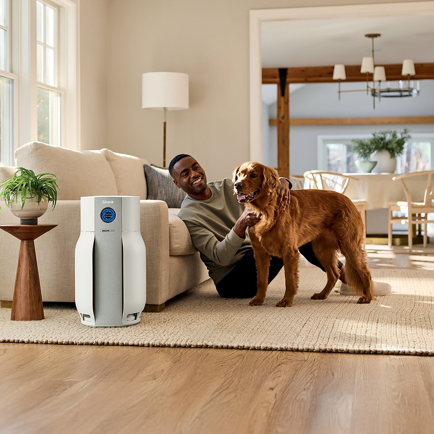 SHARK BREATHECLEAR AIR PURIFIER