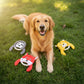 KONG DUCK DUCK GOOSE DOG TOY
