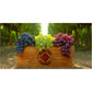 Red Seedless Grapes, 3 lbs.