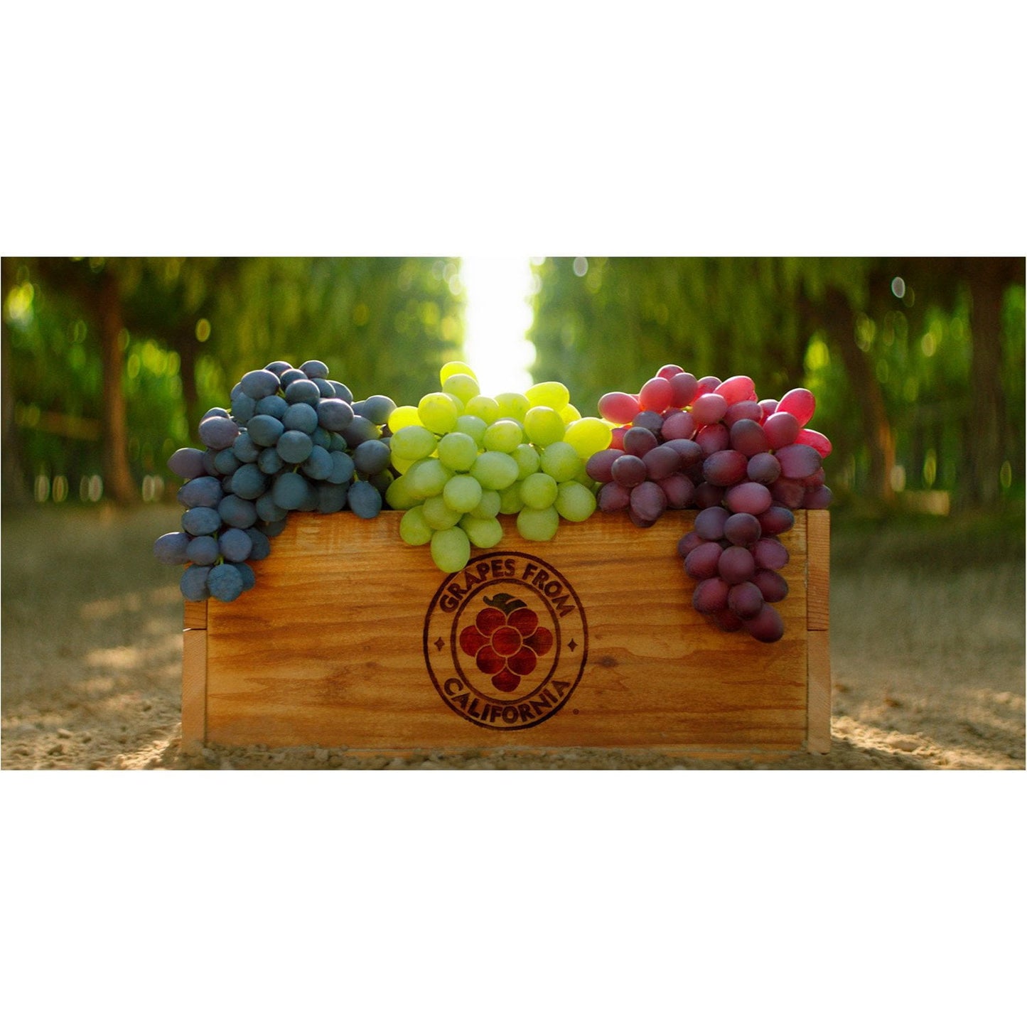 Red Seedless Grapes, 3 lbs.