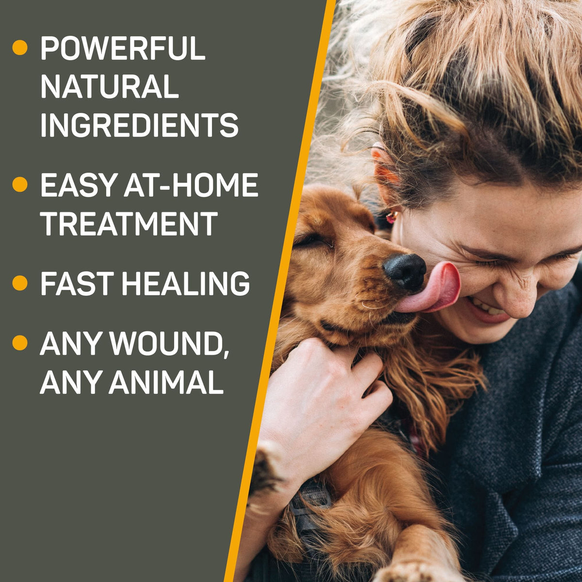 SILVER HONEY HOT SPOT & WOUND CARE OINTMENT 2OZ