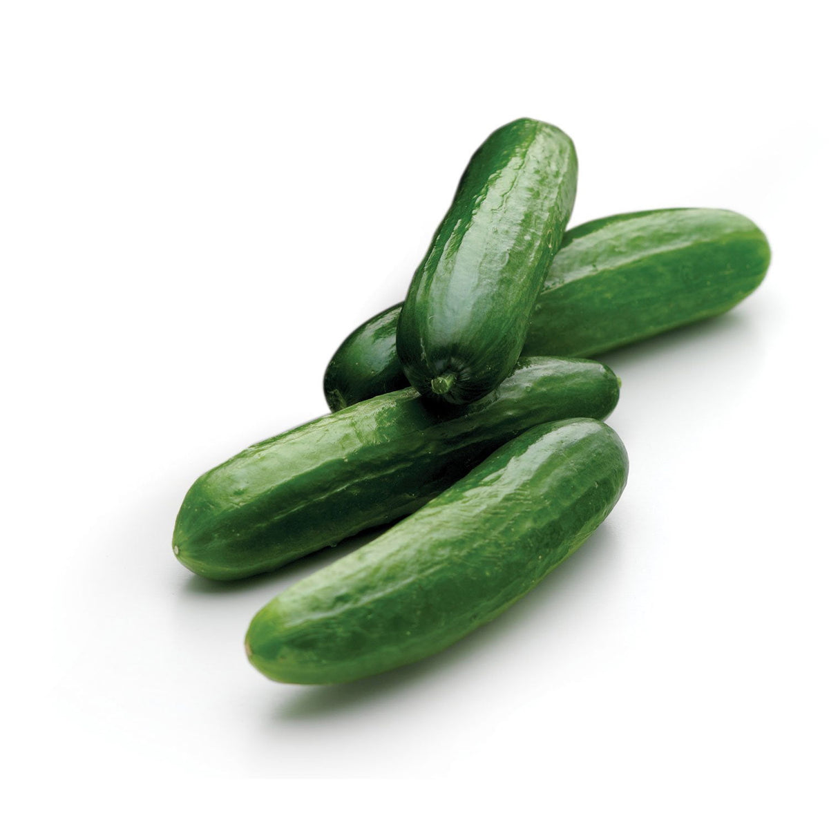 Mini Cucumbers, 2 lbs.