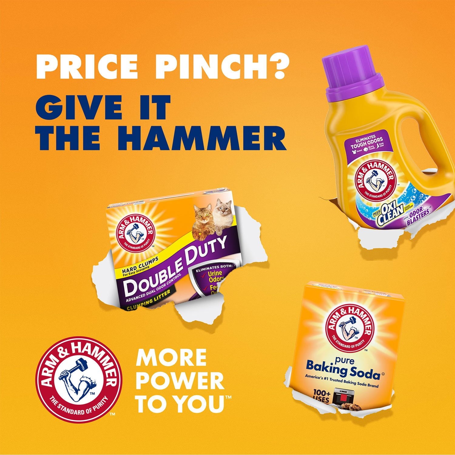 Arm & Hammer Pure Baking Soda, 13.5 lbs.