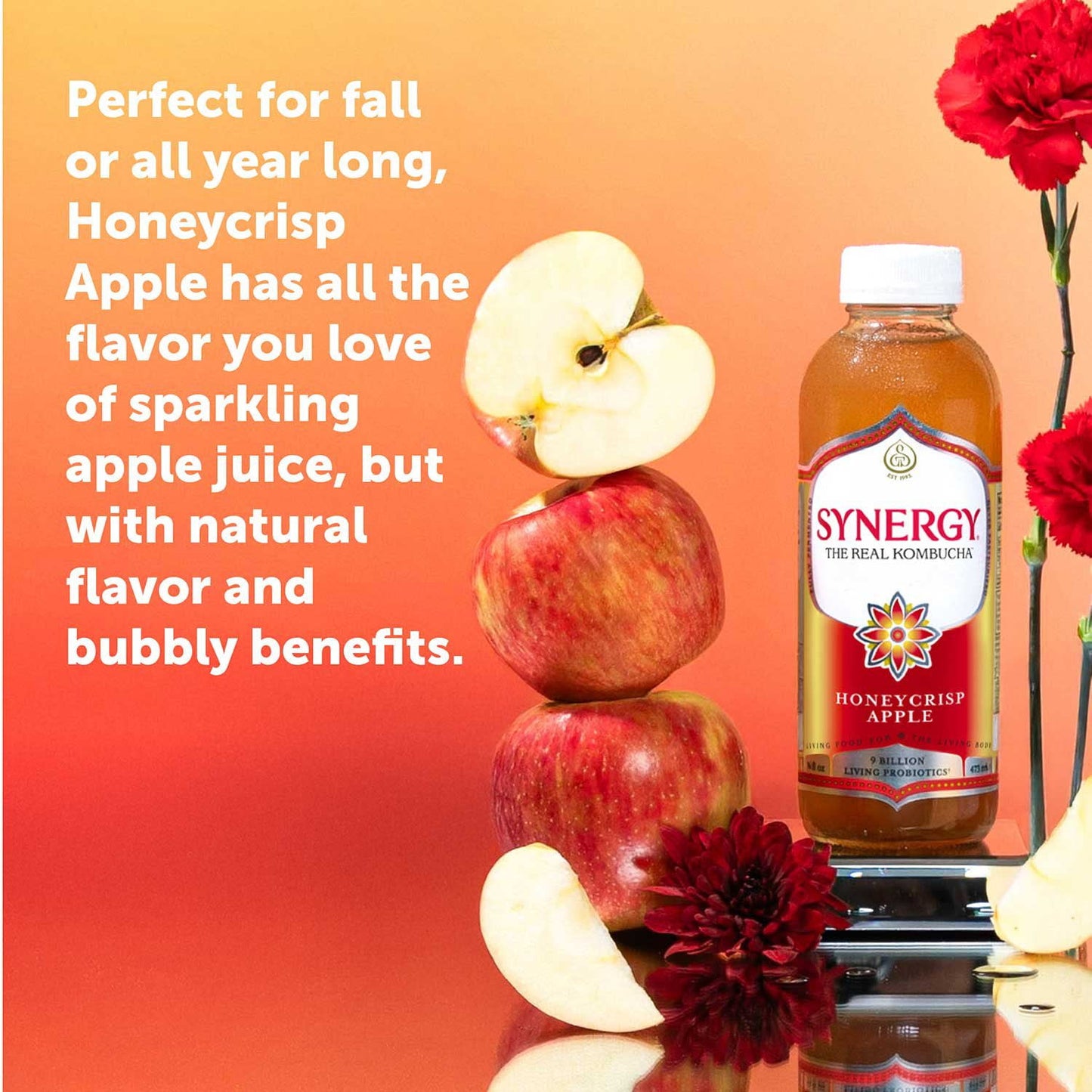 SYNERGY The Real Kombucha, Honeycrisp Apple, 16 fl. oz., 6 pk.