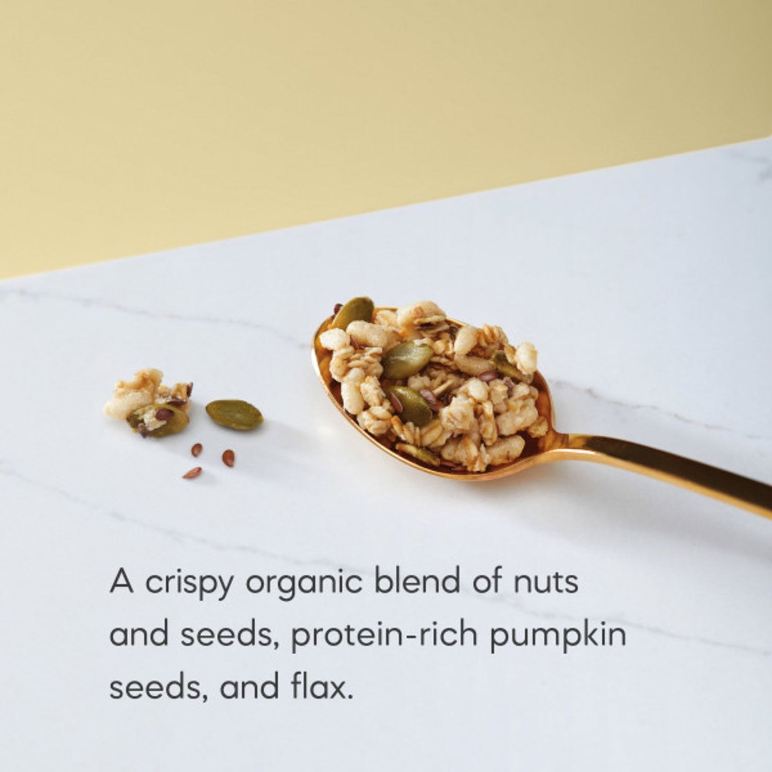 Nature's Path Organic Pumpkin Seed Plus Flax Granola, 35.3 oz.