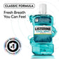 Listerine Cool Mint Antiseptic Mouthwash, 50.7 fl. oz., 2 pk.