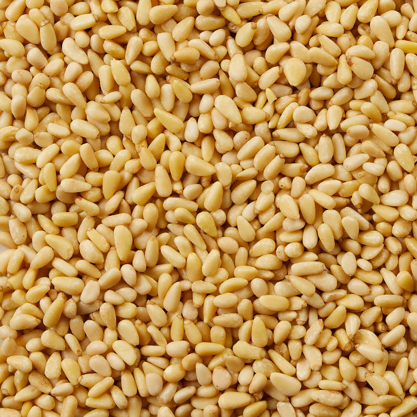 KIRKLAND SIGNATURE ORGANIC PINE NUTS 24 OZ