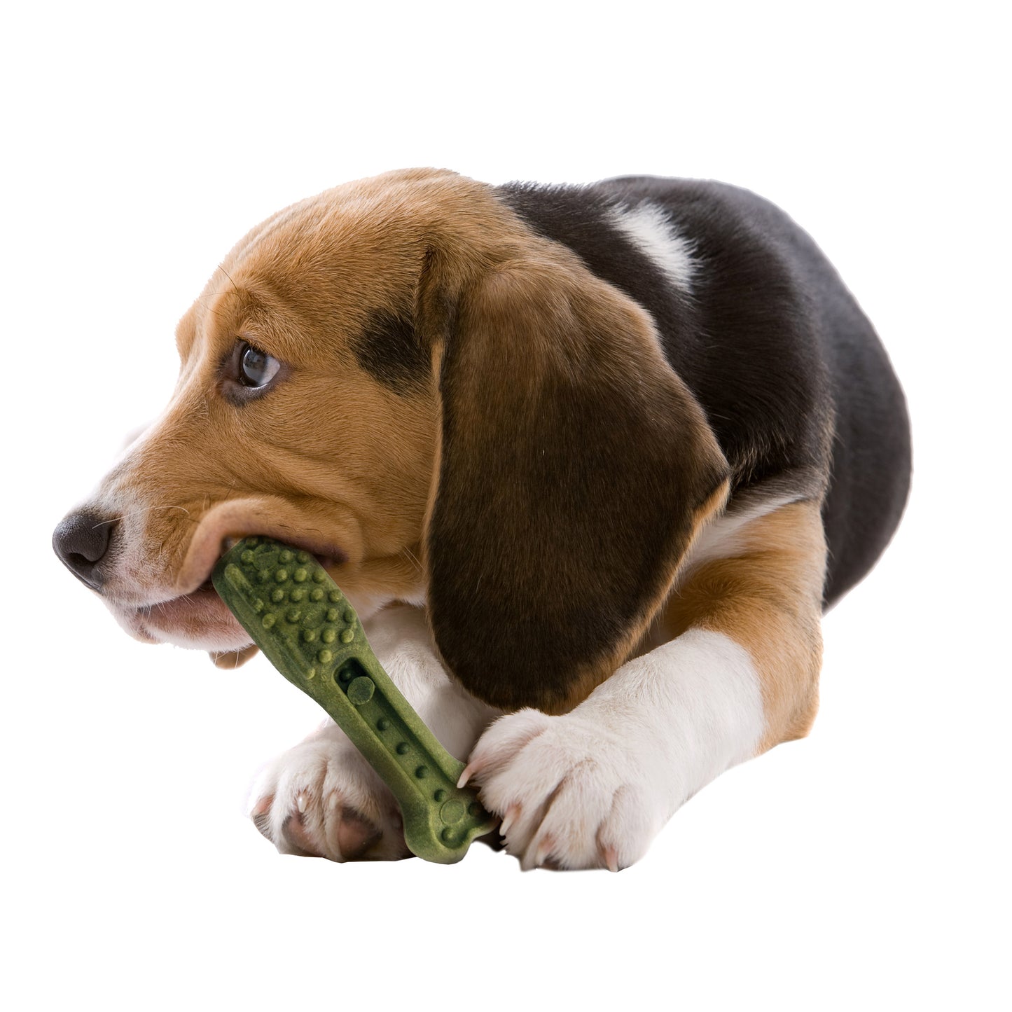 KIRKLAND SIGNATURE DENTAL CHEW GRAIN FREE 4.2 LB