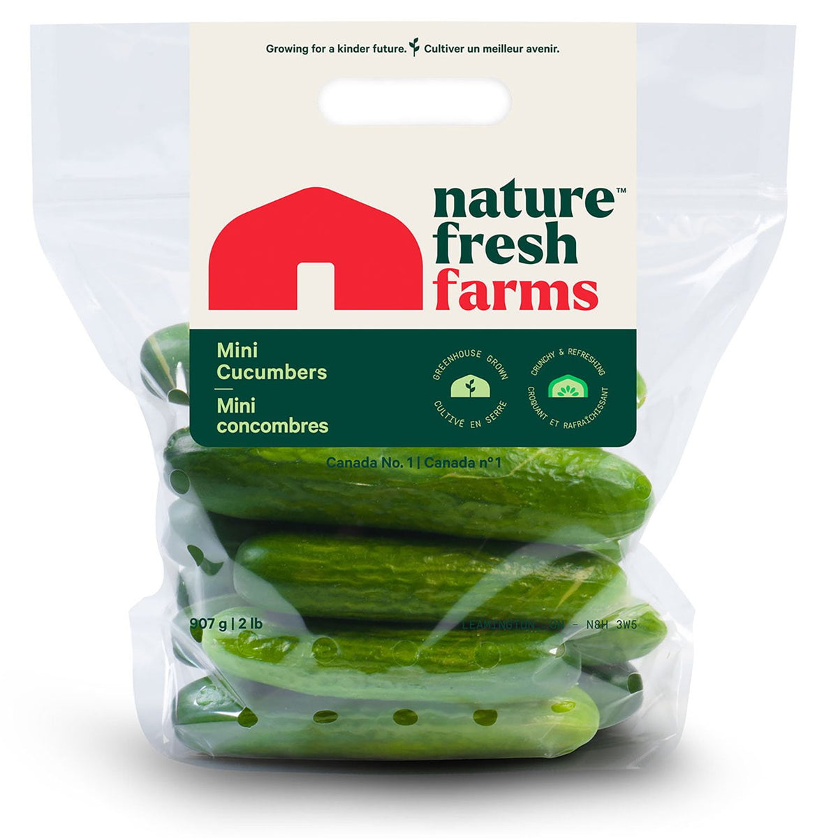 Mini Cucumbers, 2 lbs.