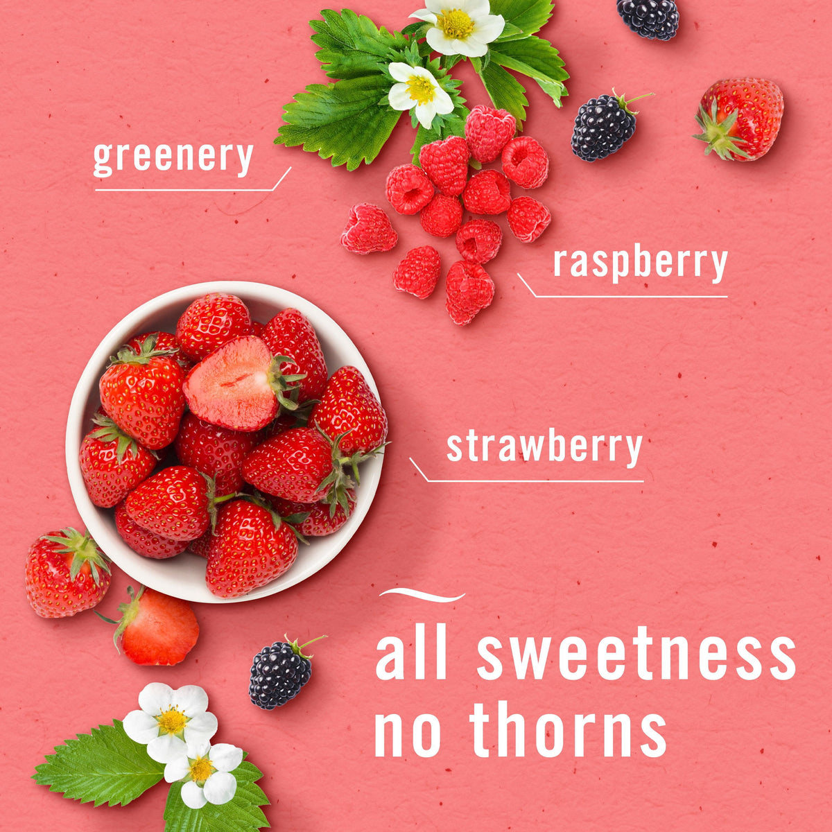 Febreze Plug Air Freshener, Gain Original + Berry & Bramble, 5 refills, 4.35 fl. oz.