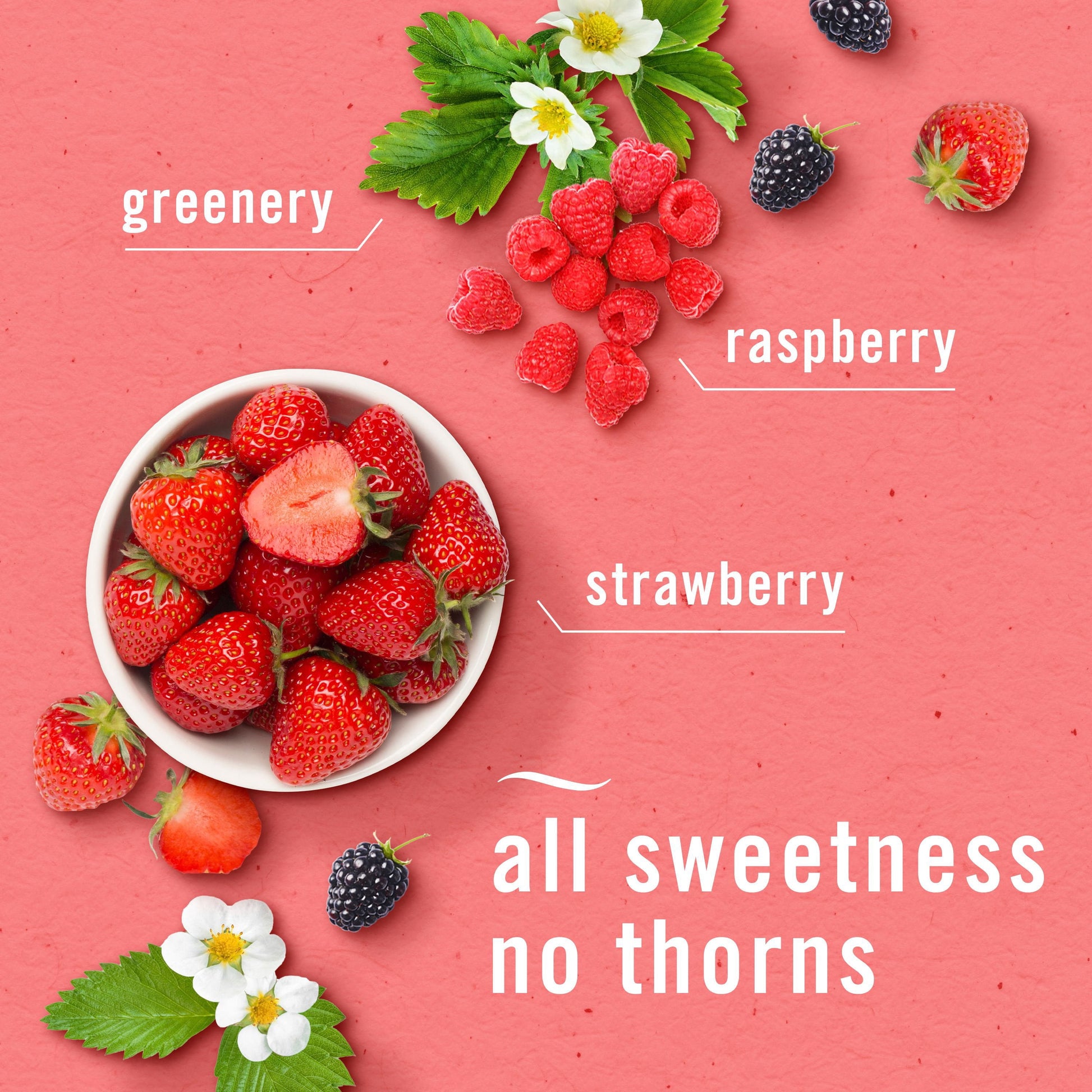 Febreze Plug Air Freshener, Gain Original + Berry & Bramble, 5 refills, 4.35 fl. oz.