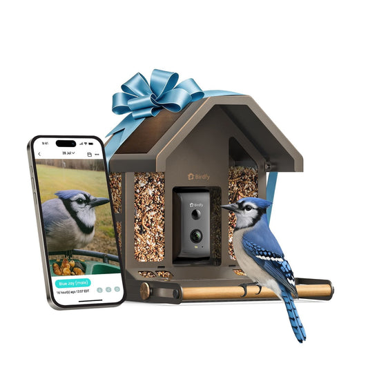 Birdfy Smart Metal Bird Feeder with Built-in Solar Panel and AI Camera
