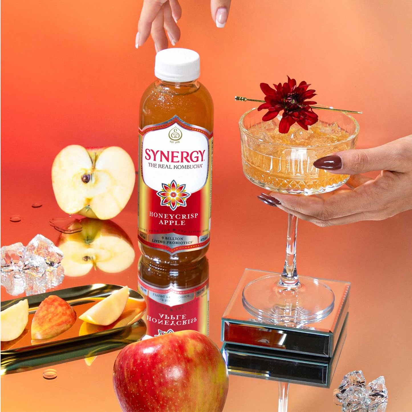 SYNERGY The Real Kombucha, Honeycrisp Apple, 16 fl. oz., 6 pk.