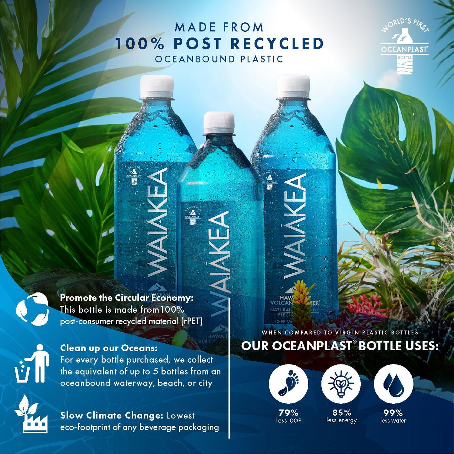 Waiakea Hawaiian Volcanic Water 1 L., 12 pk.