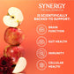 SYNERGY The Real Kombucha, Honeycrisp Apple, 16 fl. oz., 6 pk.