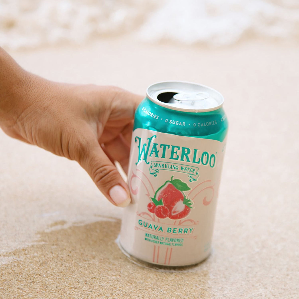 Waterloo Sparkling Water Variety Pack, 12 fl. oz., 24 pk.