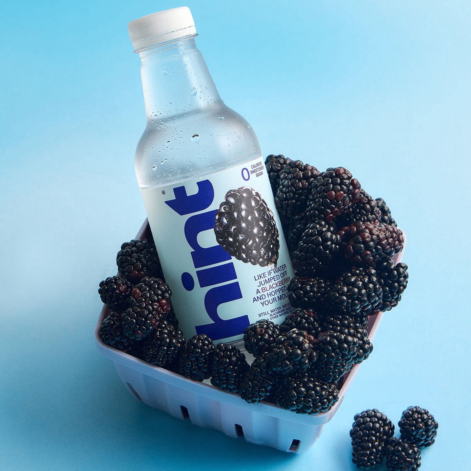 Hint Flavored Water Variety Pack 16 fl. oz., 18 pk.
