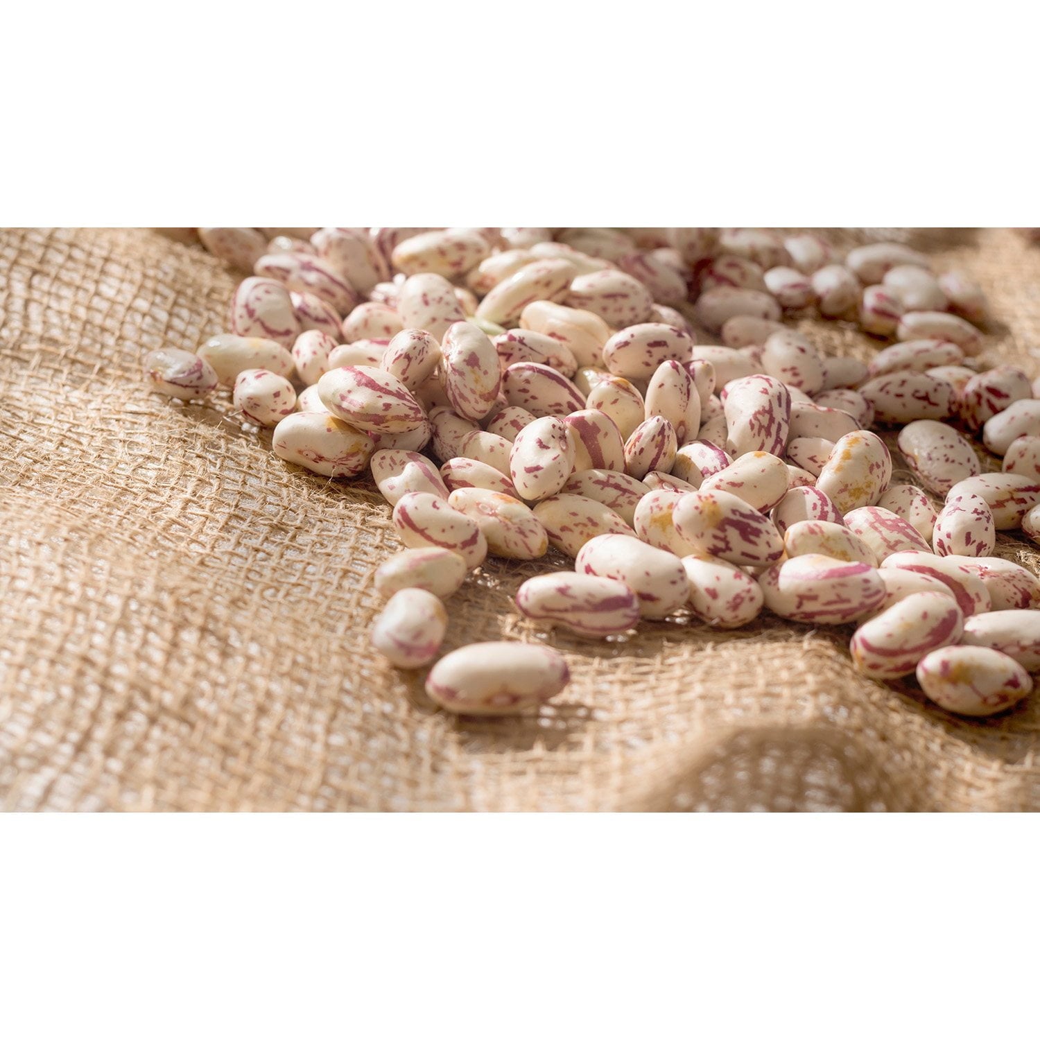 Member's Mark Pinto Beans, 12 lbs.